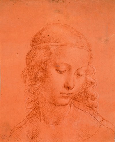 Hoofd van een meisje door Leonardo da school of Vinci